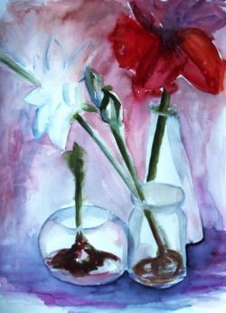 2014 | Amaryllis II | Aquarell auf Papier | 77x56cm