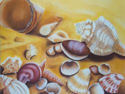 2006 | Muscheln | Pastell auf Papier | 50x65cm