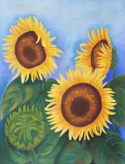 2006 | Sonnenblumen | Pastell auf Papier | 65x50cm