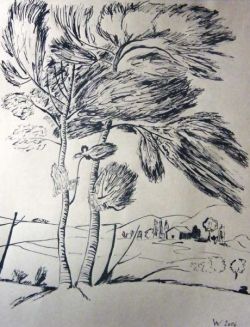 2006 | Baum | Tusche auf Papier | 65x50cm